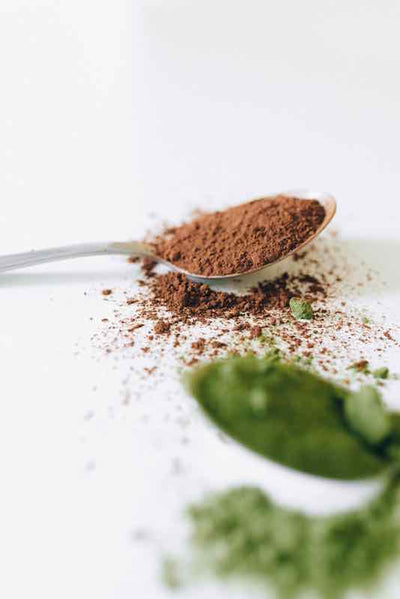 Hojicha vs Matcha : What is the Difference Between Hojicha and Matcha?