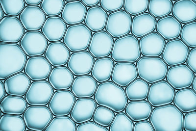 What Are Free Radicals?