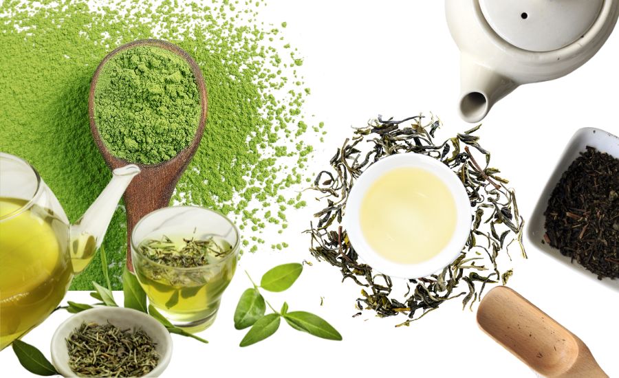 Green Tea vs White Tea: What's the Difference?