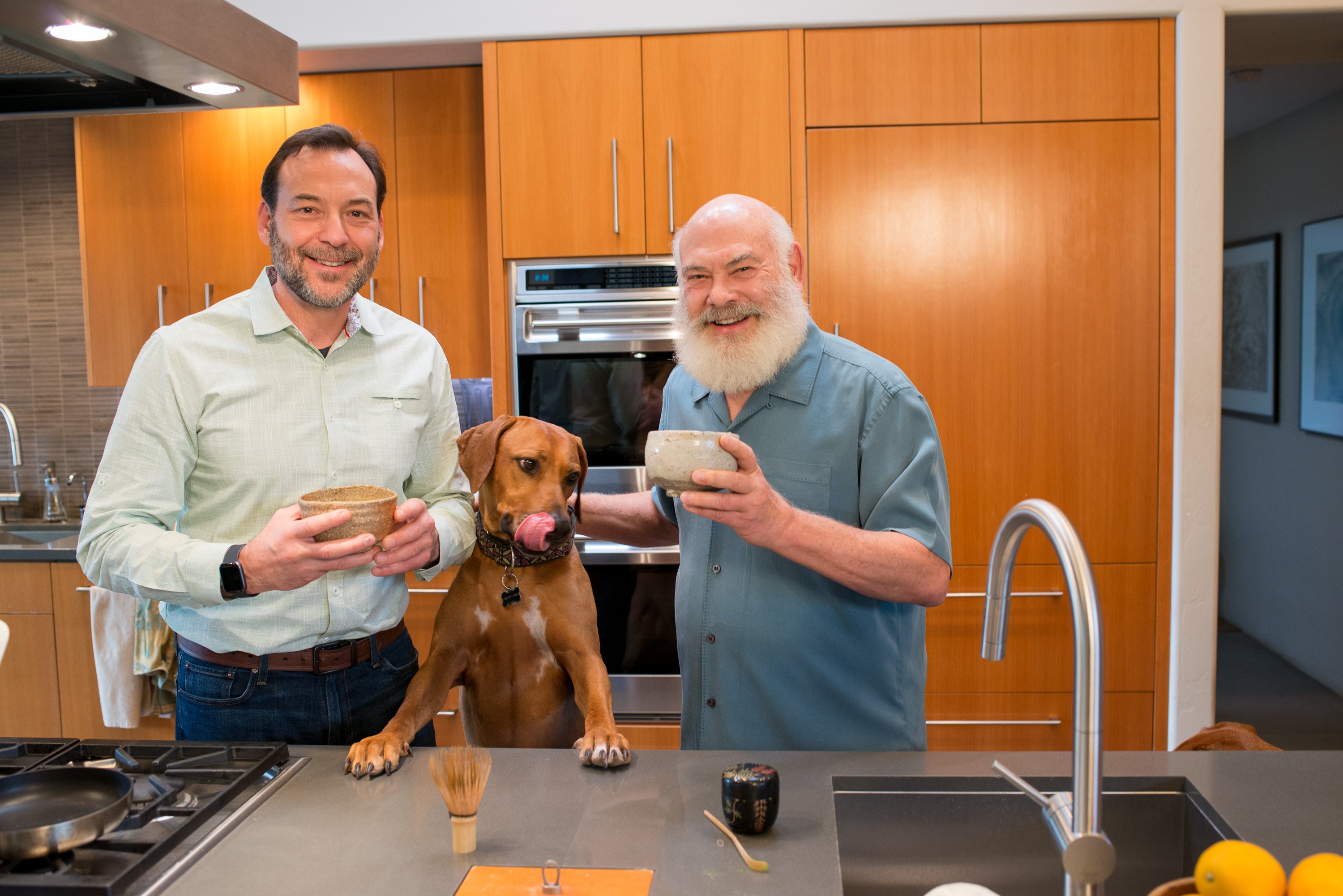 Is Green Tea Good For Dogs? The Benefits & Risks of Matcha Green Tea