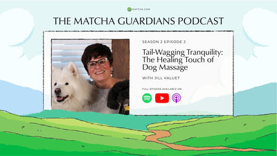 Listen to The Matcha Guardians Podcast Season 2 Episode 2 | The Healing Touch of Dog Massage