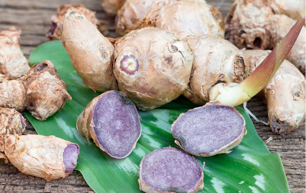 What is Black Ginger Good For Helps Nausea Bloating Common