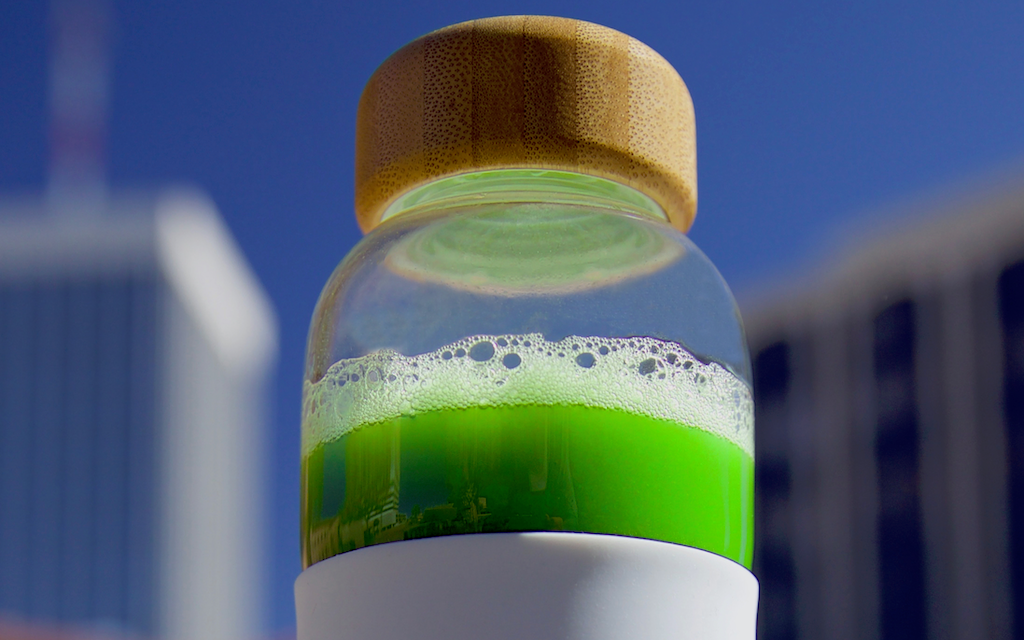 Matcha Extinct Join the Fight! Saving Matcha's Roots