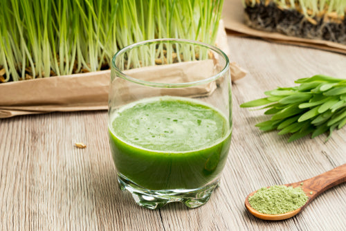 Matcha green tea powder is very high in chlorophyll — a pigment that gives matcha its bright and joyful green coloring. Learn more about the health benefits of chlorophyll here.