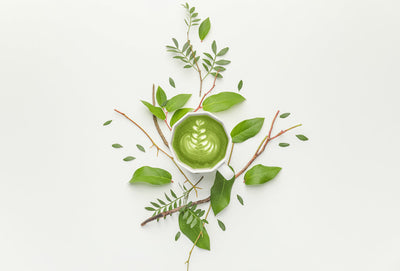 Matcha Antioxidant Properties and Nutritional Benefits | Unlock the Power of Antioxidants