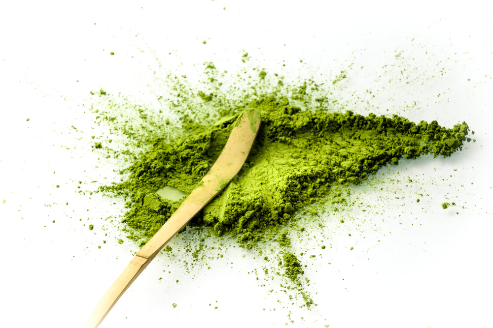 the 10 best matcha powders and matcha blends of 2023-2024