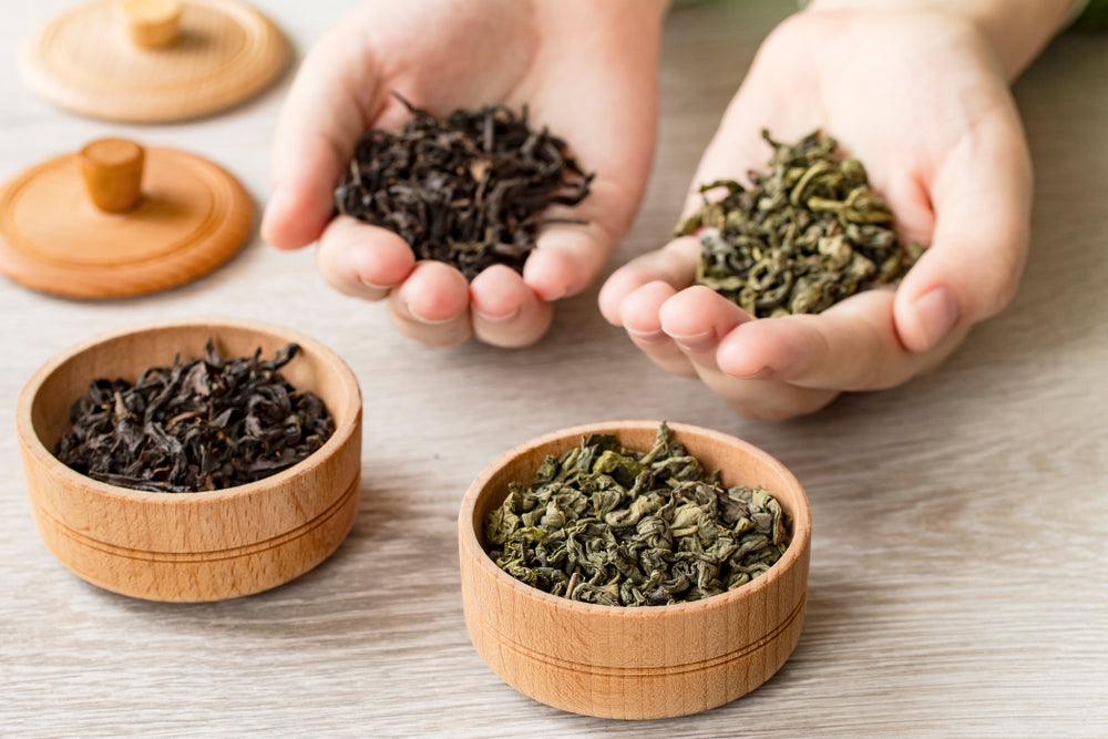 Differences Between Green Tea and Black Tea