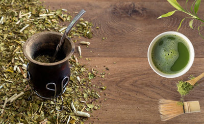 Everything you Need to Know About Matcha vs Yerba Mate